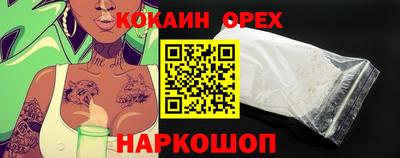 гашик Новозыбков