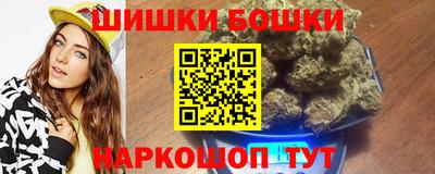 гашик Новозыбков