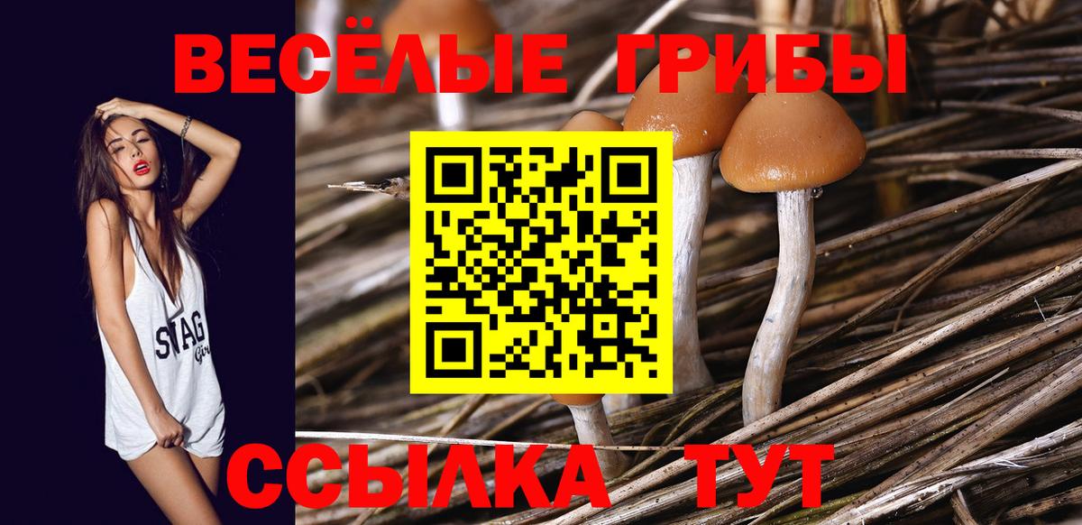 Галлюциногенные грибы Psilocybe  Вход с VPN  Псилоцибиновые грибы мухоморы  Рузаевка 
